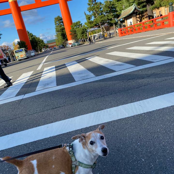 Dfaaa504 543d 4c95 b0f1 68d29ef0b23e 1636797014923