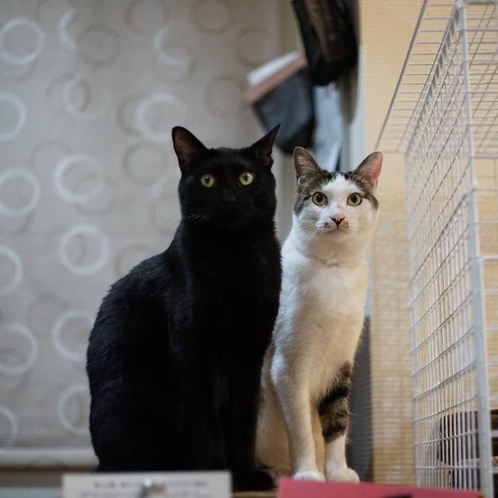 Dfaad1b2 d1f5 4f0d 95c4 4271da5696f8 1526220220603