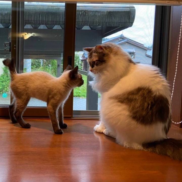 Dfaaecd3 40a3 4e7a b01c cbefb88457a6 1632456249677