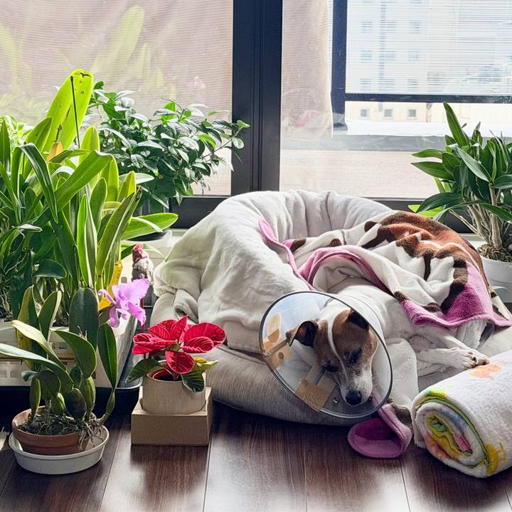 Dfab7498 0e90 4358 9cb1 9dcaf97a1211 1765503819480