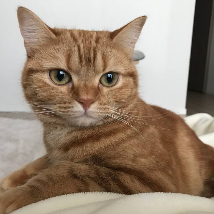 Dfab7ed4 1971 4be1 99d9 6b8fa4590a39 1520895290832