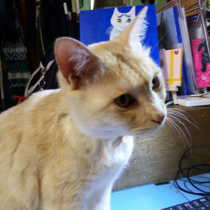 Dfabc950 d947 4113 8d05 435991b690f6 1512901778507