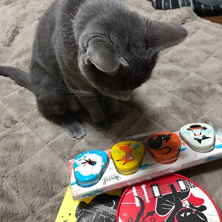 Dfac05bc a2ce 4cfe 8e79 49fd26d1e990 1548490985872