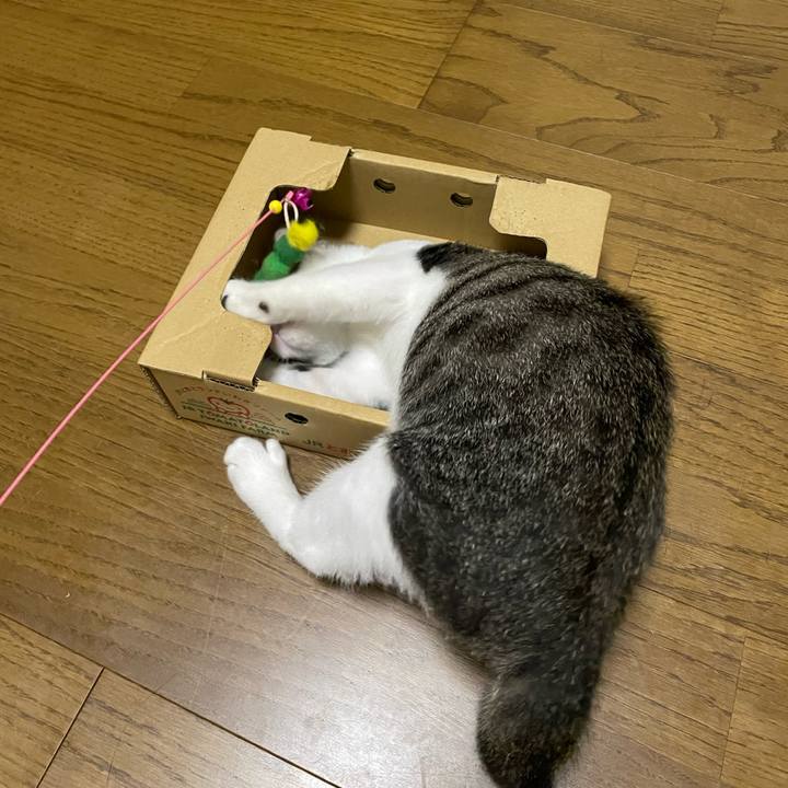 Dfac28d4 3de1 4265 9f53 a0454a109866 1725024375563