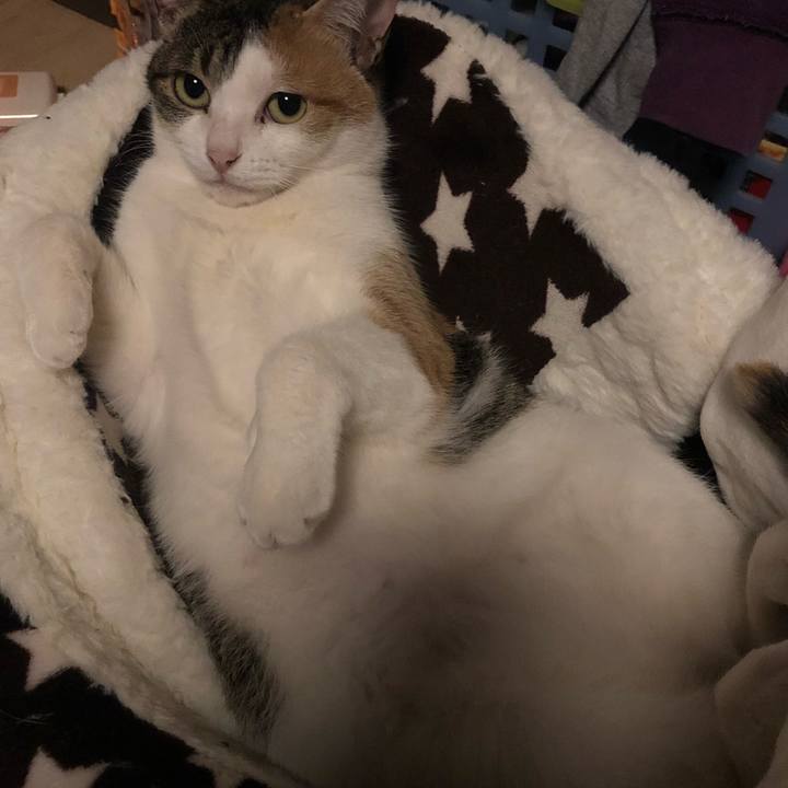 Dfac2c24 8bcd 4120 85e4 8be9d9ba252c 1584021955805