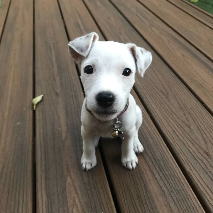 Dfac3784 72a5 4c98 96e7 d528926c1a0a 1531575704055