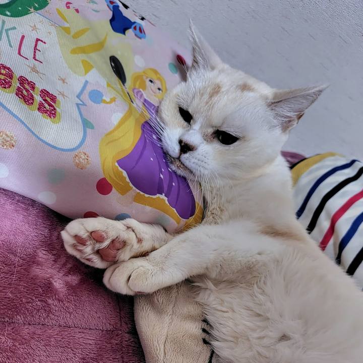 Dfac9c65 bccc 4eaf be88 3f9c224b50a5 1739885210306