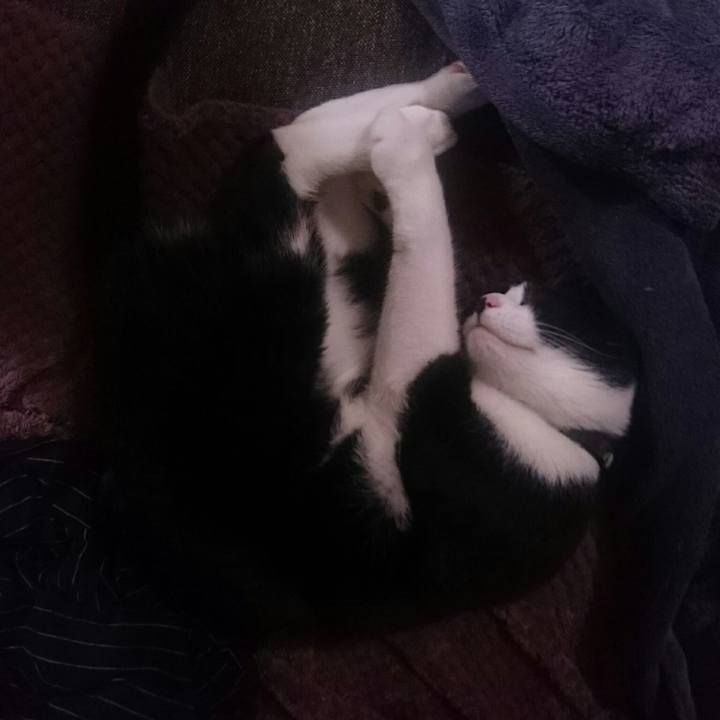 Dfacc25b 6abb 47a0 b515 c40ca755ed62 1561645468722