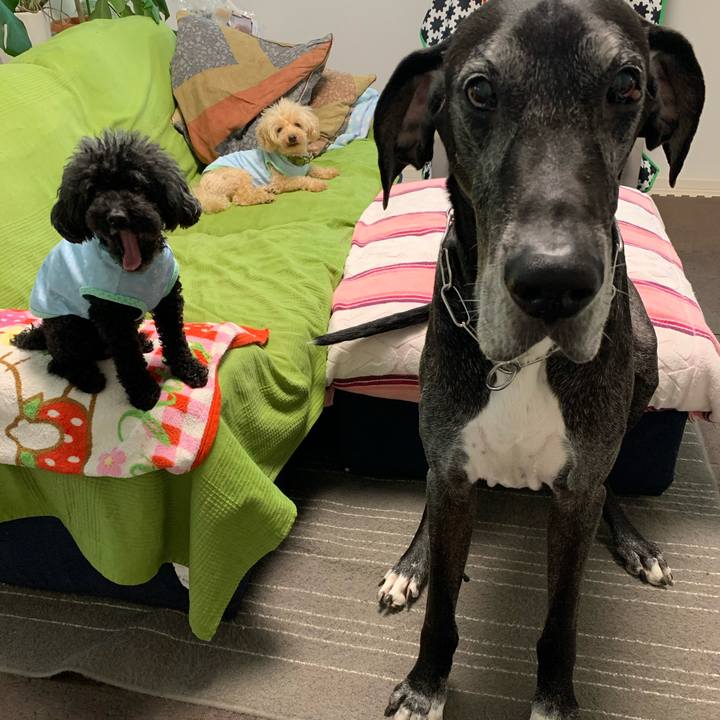 Dfacf777 5777 4a3a b5e5 289686e30bfa 1593124466362