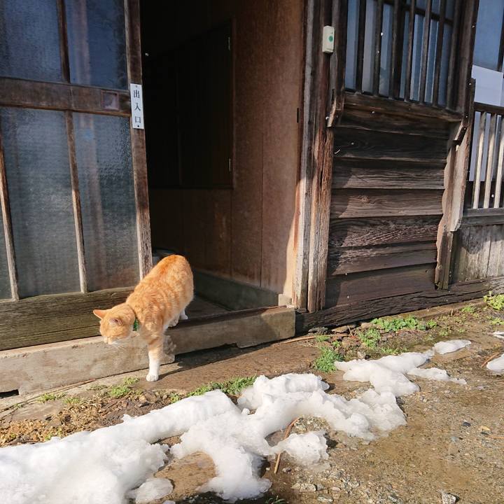 Dfad052d 6319 4391 a1c9 236dfb529513 1585465581374