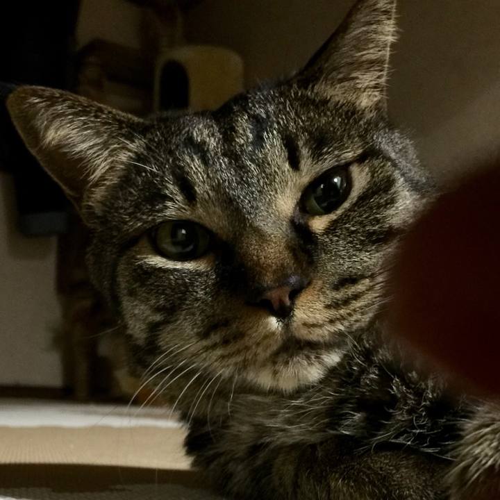 Dfad121a 7765 437b ad37 30286560c85a 1527593685255