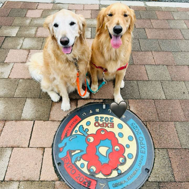 Dfad222b 08a2 458b 8f28 e922fce1df5f 1759113243364