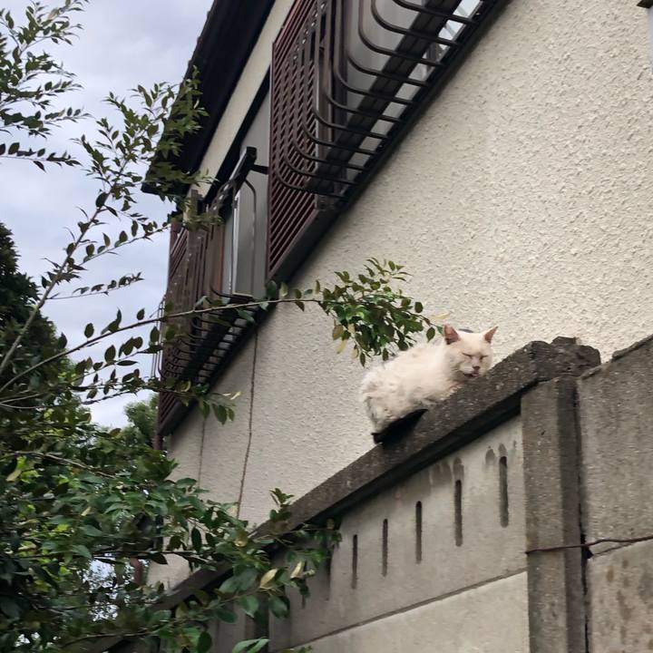 Dfad25a5 b48b 406a 94a4 bc59d4e1d439 1572729245847