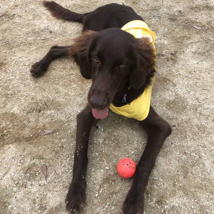 Dfad5681 ffac 4d25 974b 258189b905db 1563619917785