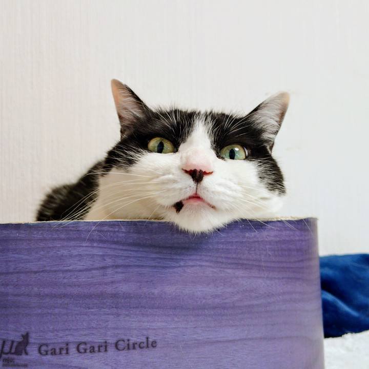 Dfada75e aeaa 4877 994a 84b210be8694 1773731383906