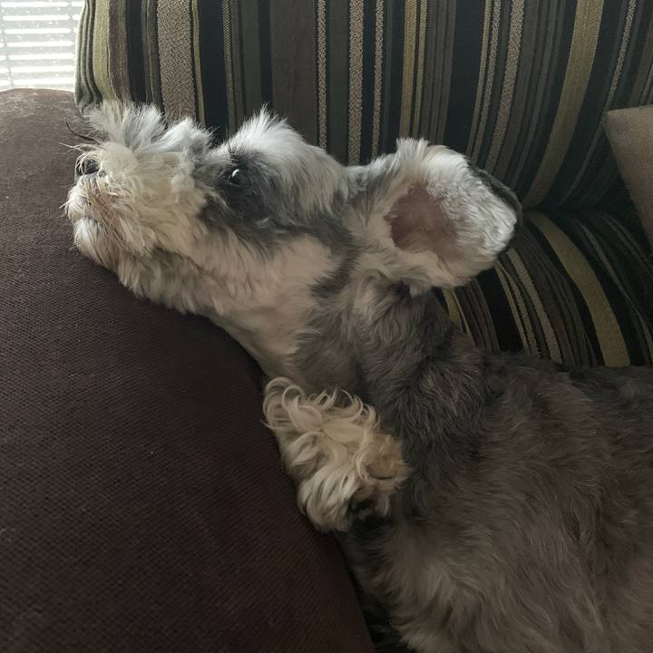 Dfadb303 7663 4e36 9f47 643a15043380 1599280794873