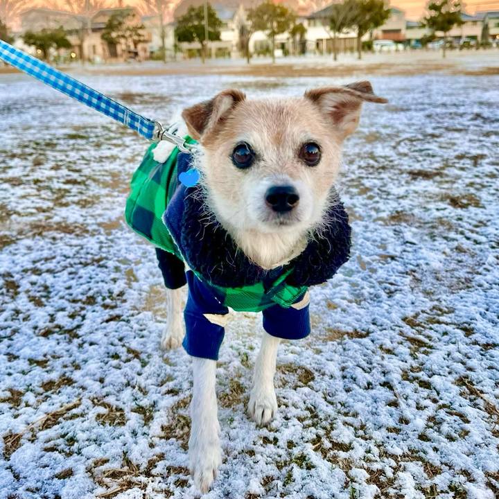 Dfadb591 1731 4a28 9a46 5b2548907d4c 1705190417760