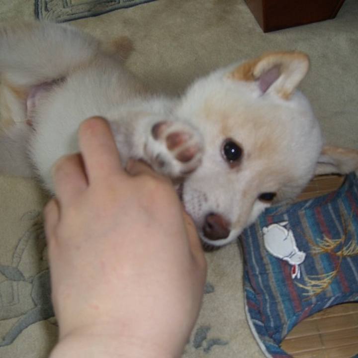 Dfadb5bf 4427 407a 96d2 6ff8df289643 1637591229151