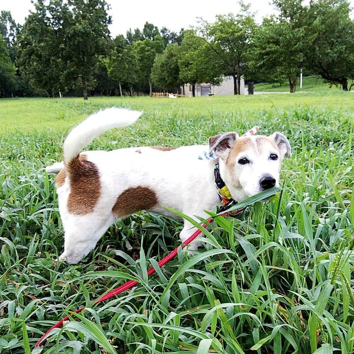 Dfadbf93 f9b3 440c bc89 95695dc4f1b6 1597270663538