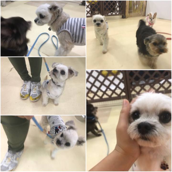 Dfadd869 1db6 4b5d 9163 80854d33a16e 1569503005282