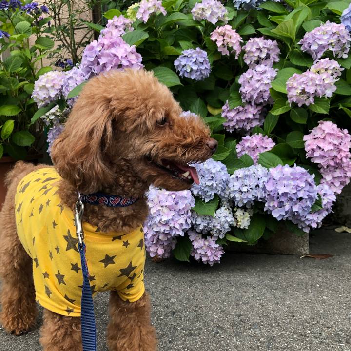 Dfae068f 9cef 4cdb 9313 1e425e0d32fc 1592085690048