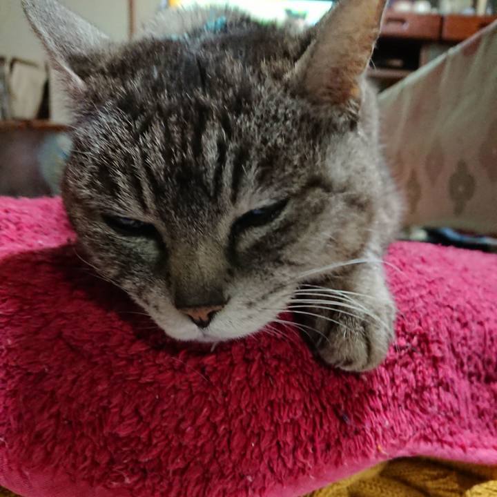 Dfae2e16 1a20 4daf 9de1 993755589a53 1555500003801