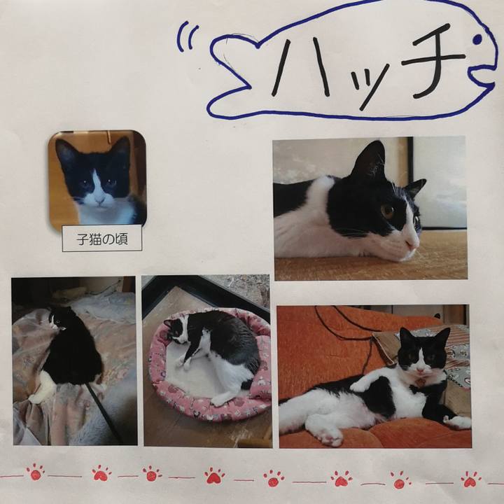 Dfae35a4 db81 482e 8582 b9c55479311b 1572064833329