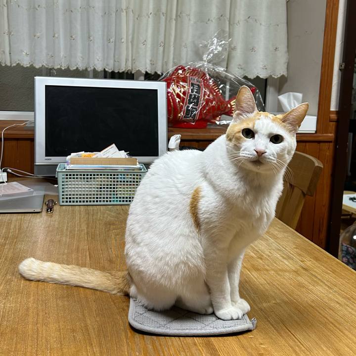 Dfae41af 7f8c 4574 b5d4 7d6877ad7335 1674166655071