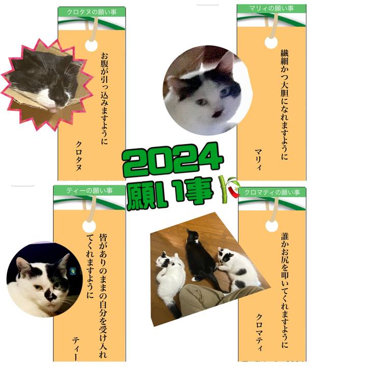 Dfae47bf a626 402d ab0c de31f8c893f0 1720333065752