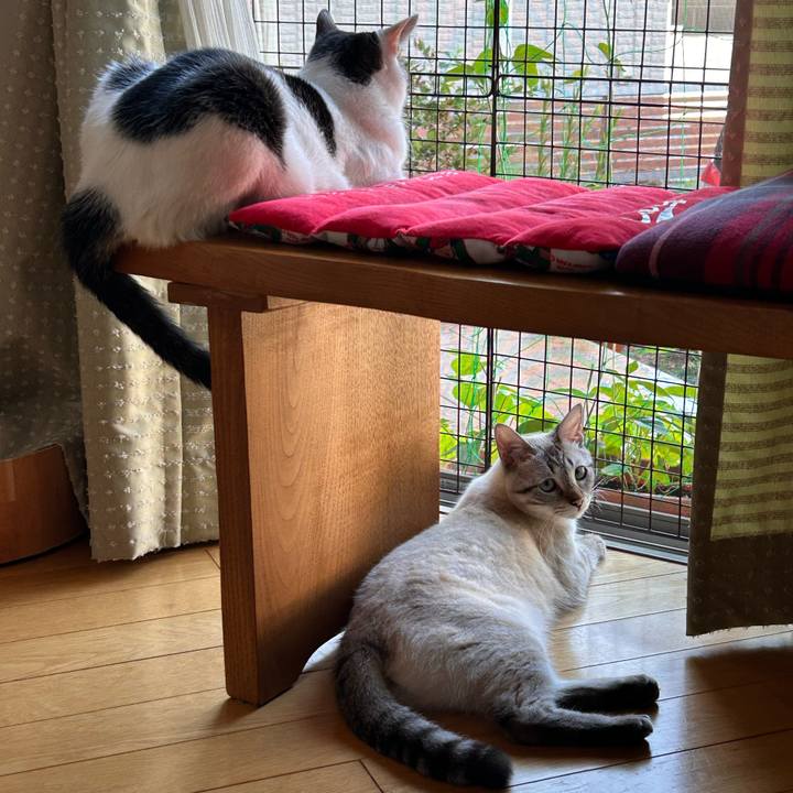 Dfae5527 2e52 454a 987f 9928d4fd7389 1753312081883