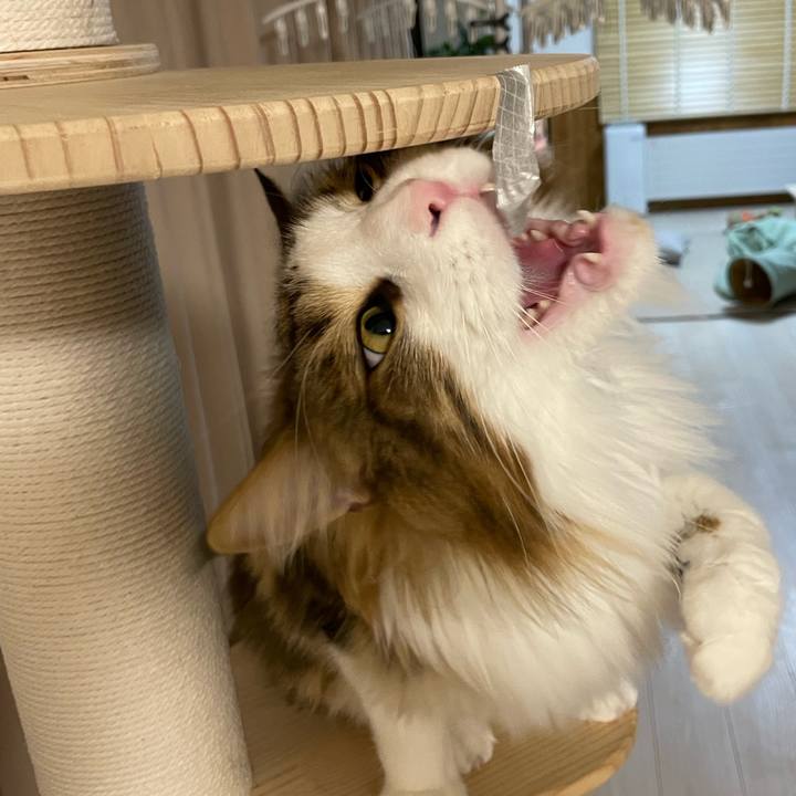 Dfae7e89 38b2 4383 bb67 0fe7c6f008d7 1671658762927