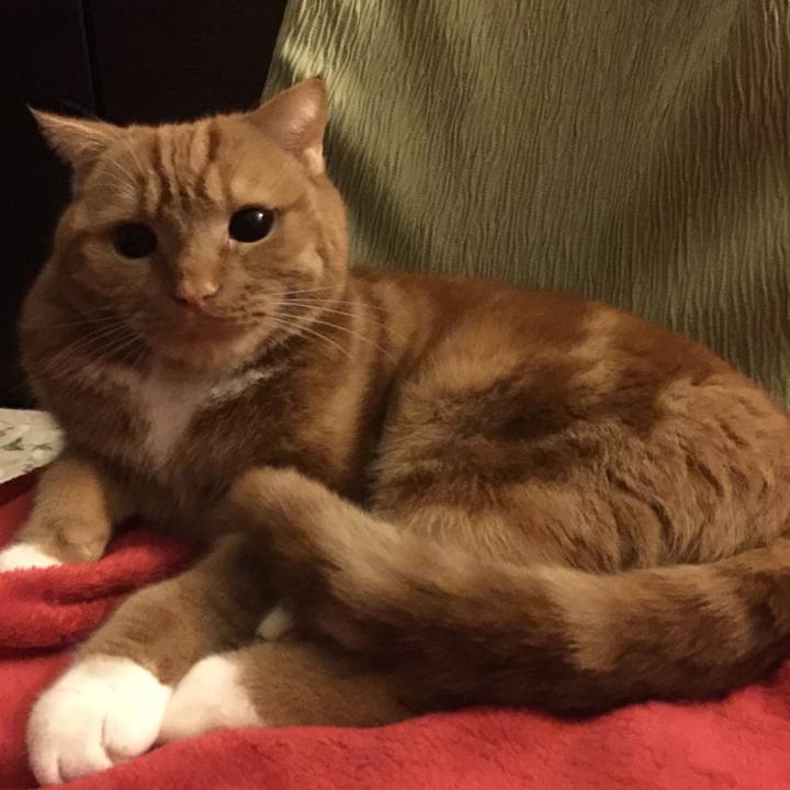 Dfae88ad a567 4f27 9749 cdf5bf028094 1549237581416