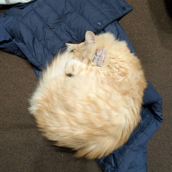 Dfaeb0f3 697d 43fb b704 730e3f6d6da5 1734958872724