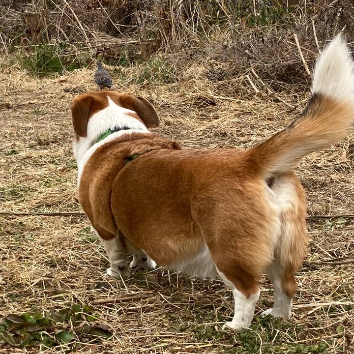 Dfaee9a4 630c 452c 8c96 ae3bb90b61e0 1705019348691