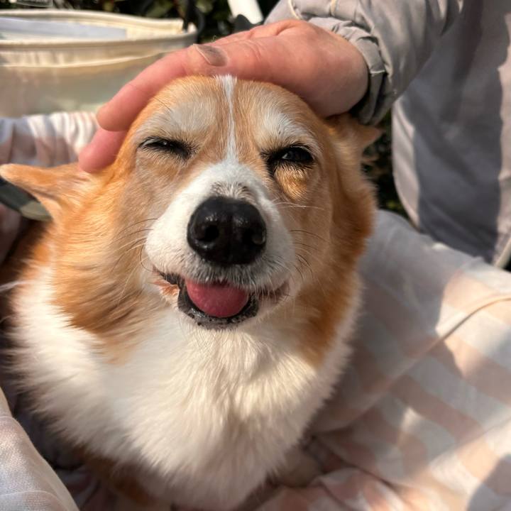 Dfaf2584 ebee 4623 9df4 1560cdca1553 1770261112933