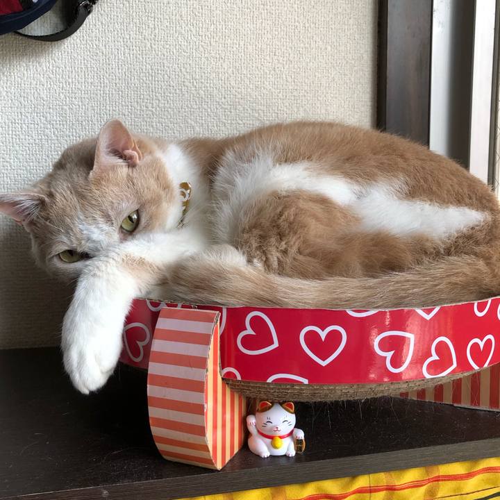 Dfaf6950 7a02 4bf8 ab53 951b3c1a3e90 1578709609559