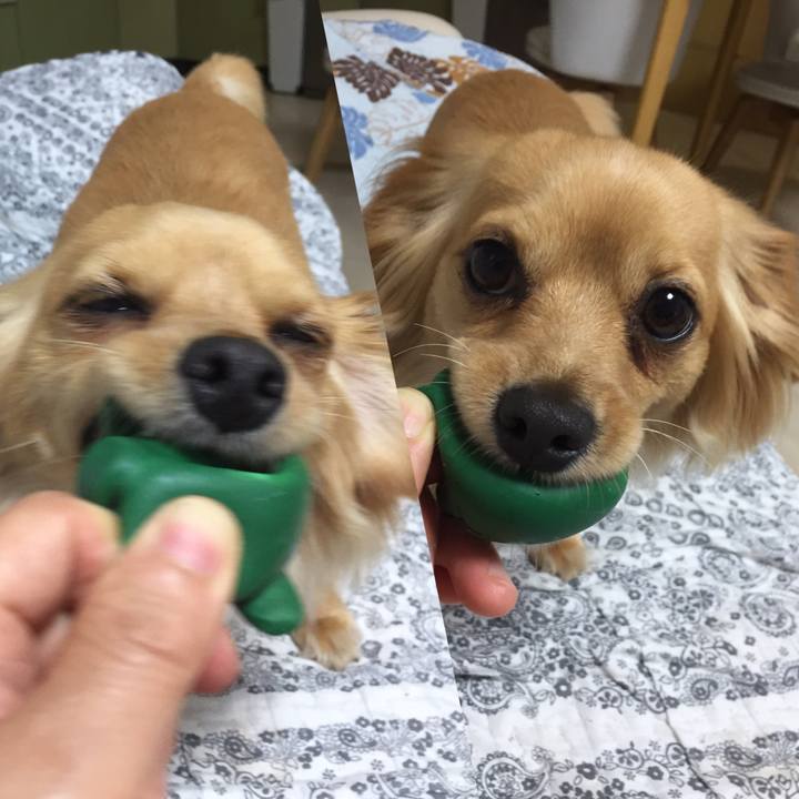 Dfafa10b 953d 42dc 8d05 554dcbb0ef29 1560514116805