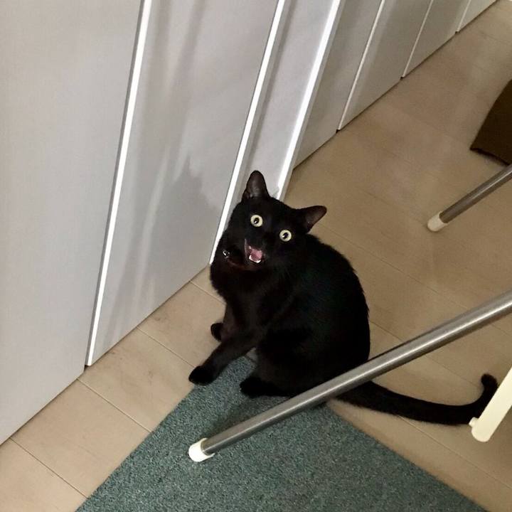 Dfafab21 1629 4313 96eb 87f19d760a9d 1562468184815