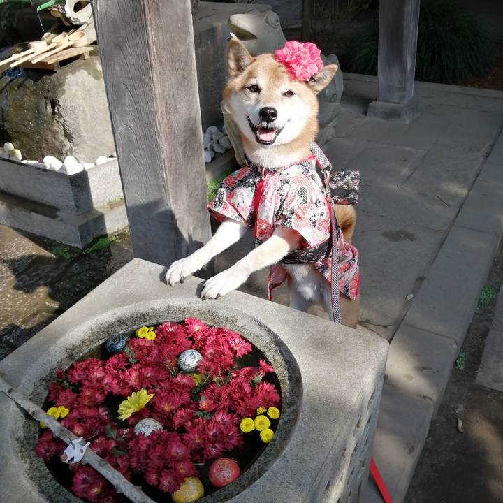 Dfafbc13 0976 42ca baa1 4c6b805e6220 1668095668894