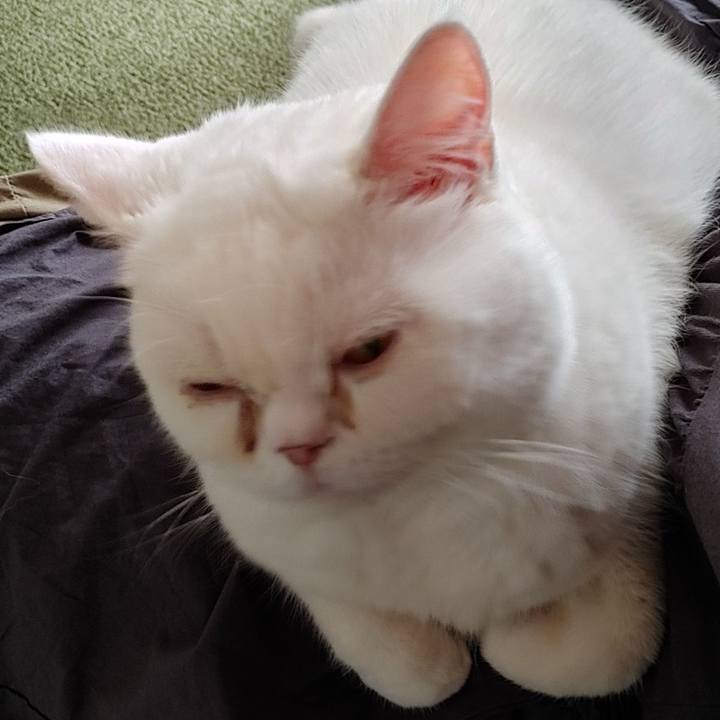 Dfaff22b 9c29 45db 9de4 c8bcb170b483 1666418688553