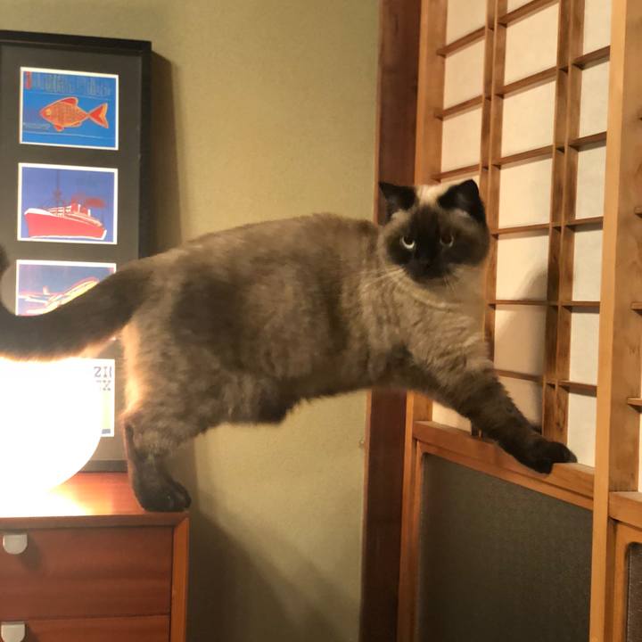 Dfaff4aa 233b 4f2a a33e fe5debbf2265 1609763194379