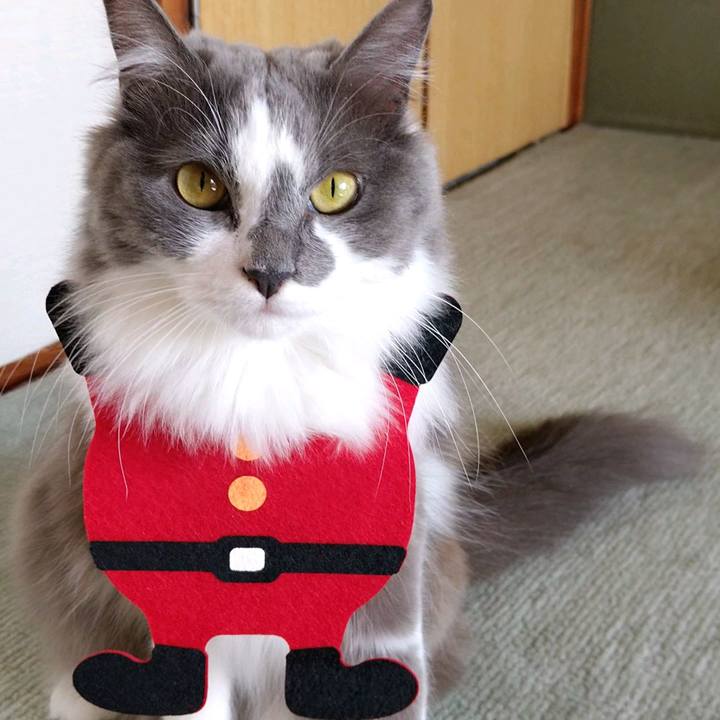 Dfb02049 ea19 4d0c a899 6827ff7fed5a 1607744494265