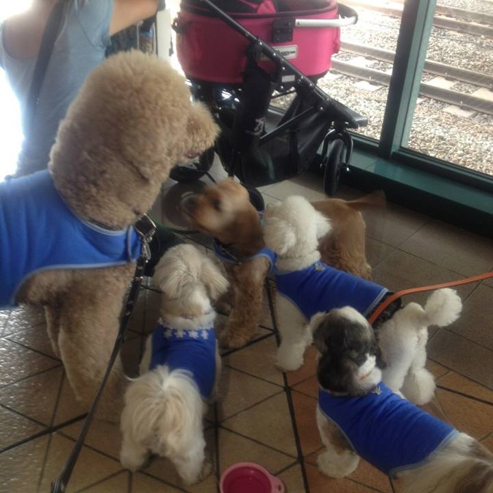 Dfb0251e 75e5 4670 a153 5089239bbbf4 1564756103118