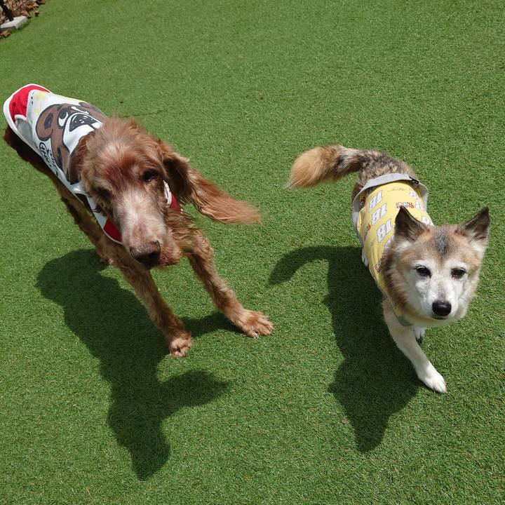 Dfb02fae b71f 428a a861 f50ee8479acd 1746325963211