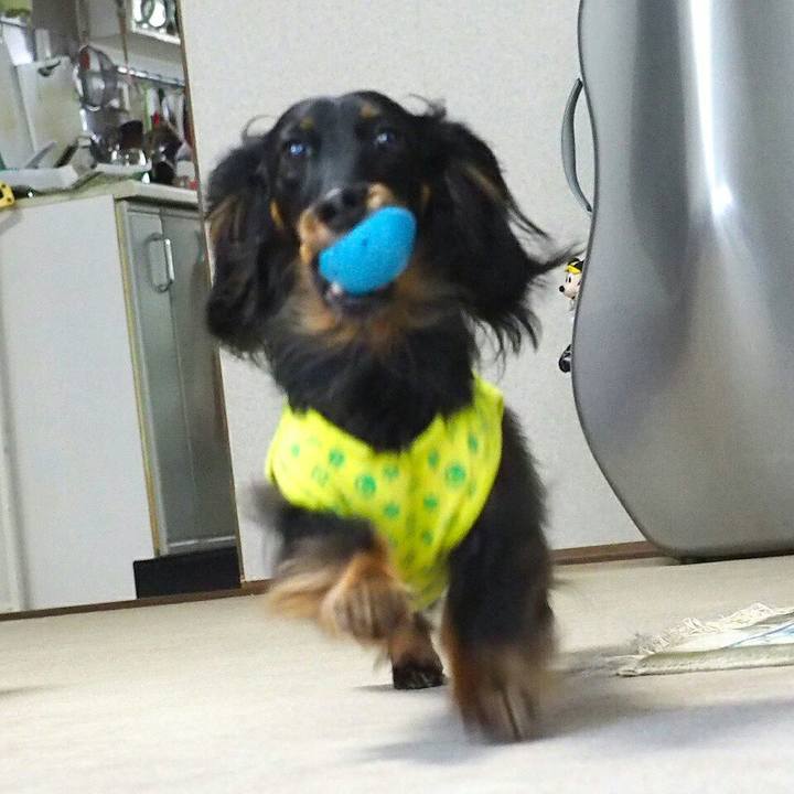 Dfb040ba 688d 4a00 98ba aa6a095e2136 1525402506989