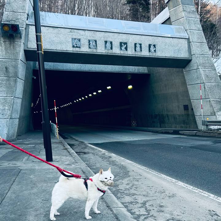 Dfb09299 c37a 4a90 805d 6d4c62ee9cbf 1712440334116