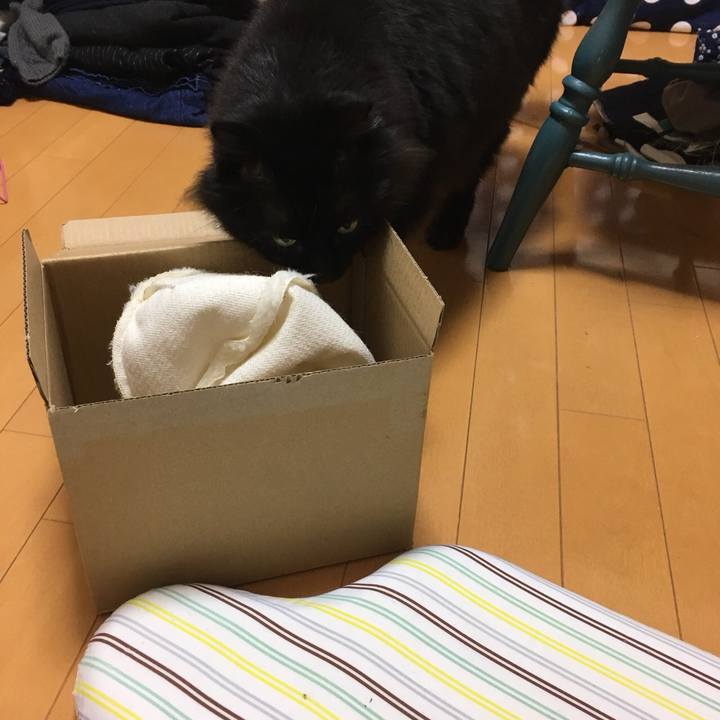 Dfb0a7dc a046 4b83 9524 325b94fa6638 1551280185546