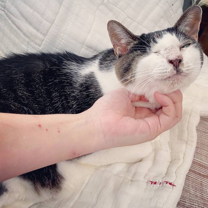 Dfb0b722 450c 47d6 9908 fac7d6918ea3 1599381188620