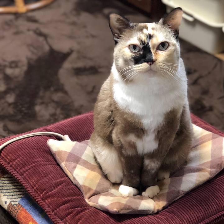 Dfb0ca37 9083 45f2 86f2 cf57a44c48ab 1673657527496