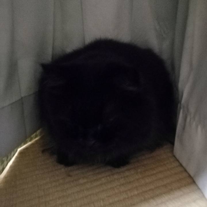 Dfb0d205 e60f 4b74 925a 738e5ab46410 1536887654703